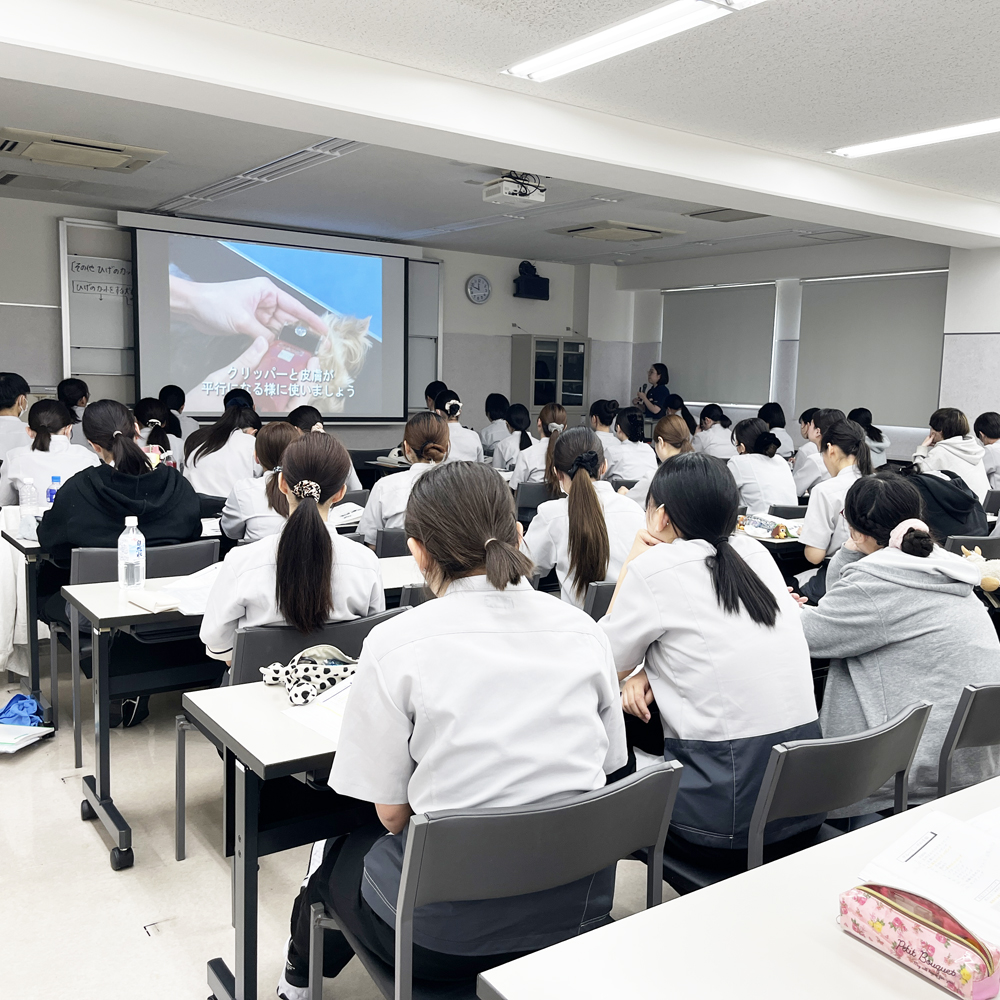 最近の講義いろいろ☆
